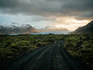 Met mos bedekt lavaveld in IJsland met besneeuwde bergfjord, kronkelende grindweg en gouden licht aan de horizon.
