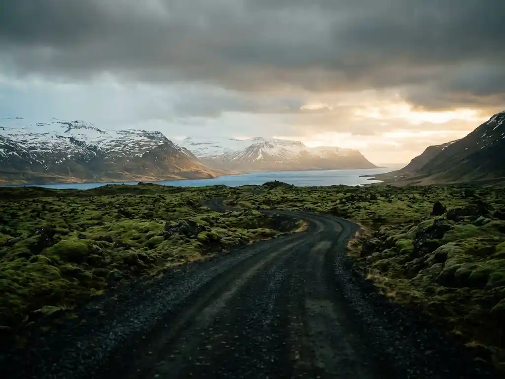 Met mos bedekt lavaveld in IJsland met besneeuwde bergfjord, kronkelende grindweg en gouden licht aan de horizon.