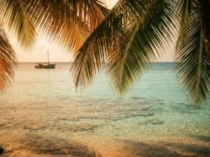 Turkooizen baai in Tobago met palmbomen, helder ondiep water boven koraalzandig zeebodem en een houten visserboot op de achtergrond.