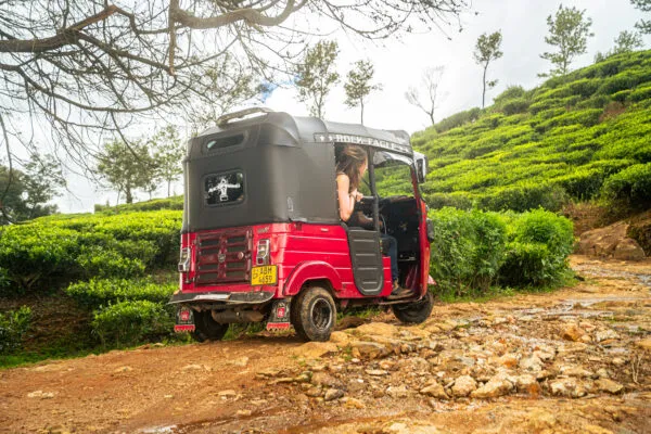 Een rode tuktuk rijdt over een onverharde weg langs glooiende, groene theeplantages onder een lichtbewolkte lucht.