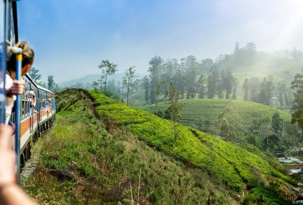Een vrouw leunt uit de open deur van een rijdende trein die door het groene, bergachtige landschap van Sri Lanka rijdt.