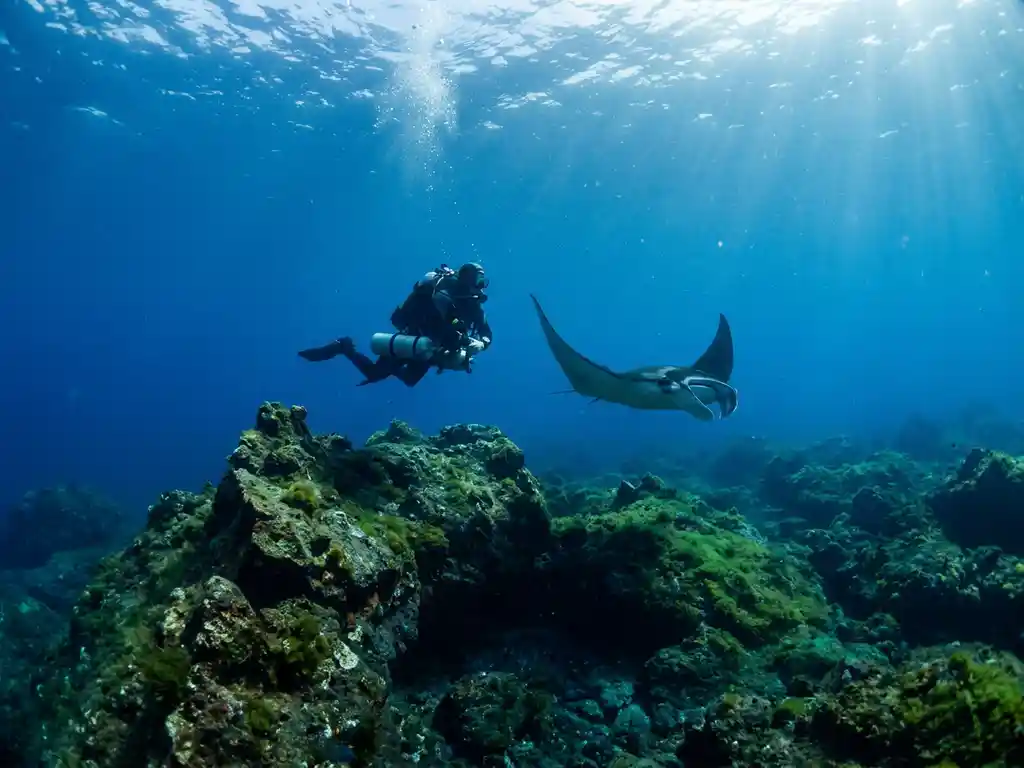 Duiker boven vulkanisch rotslandschap op de Azoren, met een mantrarog en zonnestralen door helder Atlantisch water.