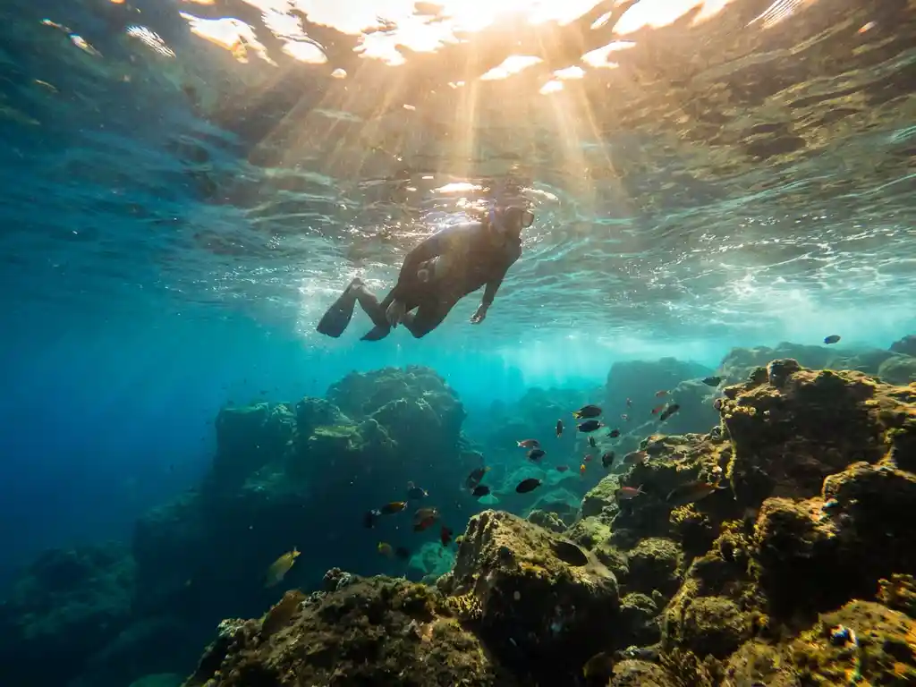 Snorkelaar zweeft boven vulkanisch basaltgesteente in helder Atlantisch water bij de Azoren, met kleurrijke rifvissen en zonlicht dat door het oppervlak breekt.
