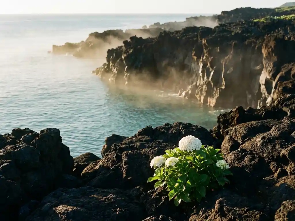 Zwarte lavakliffen aan de Atlantische kust met bloeiende witte hortensia op de voorgrond, omhuld door ochtendmist bij gouden uur.